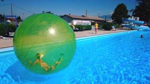 13900374_1637136276578194_4900614987590084814_n